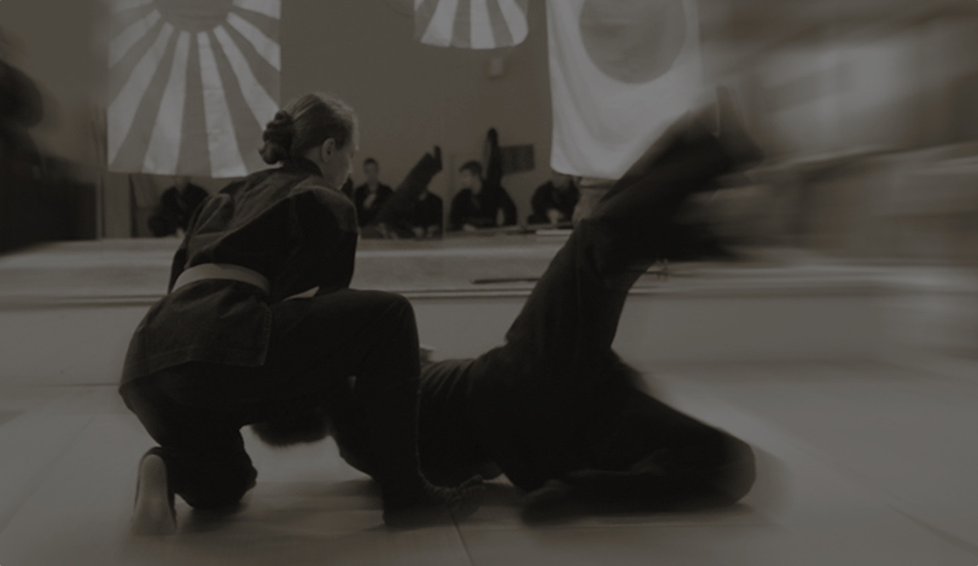 kenjutsu samurai-ninja-kampfsport-waffenkunst-lehrgang-wels-02